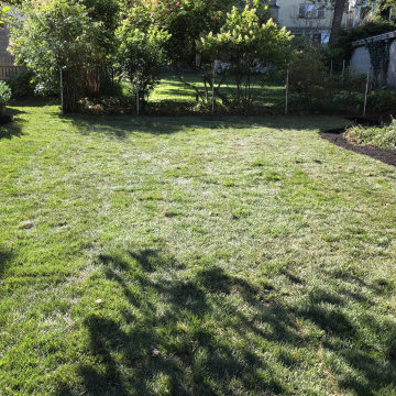 Lawn Grading and Sod Installation - Rexford, NY