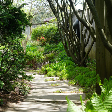 Mid-Century Modern Home Rear Garden