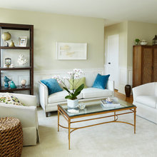 Living Room Ideas