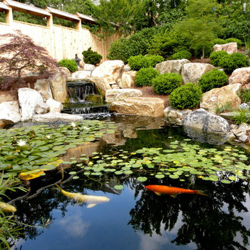 Japanese-inspired garden with koi pond