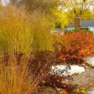 Fall landscapes