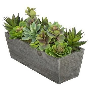 Artificial Succulent Garden in Grey-Washed Wood Ledge
