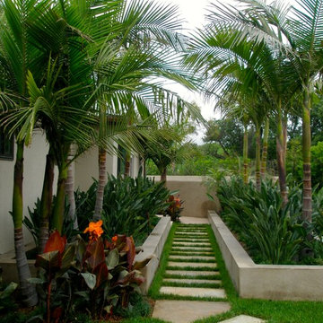 Contemporary Garden, Carpinteria