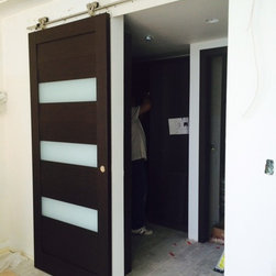 Modern Sliding Door with Laminate Insert in Wenge Finish - Interior Doors
