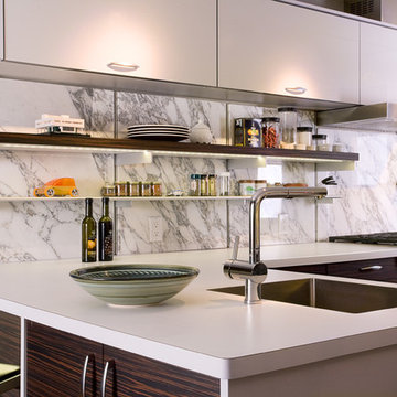 Contempory Kitchen/Mid-Century Home