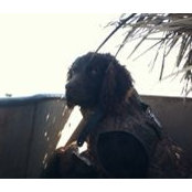 Kerry Atkins's photo