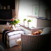 Foto von Carol Galant