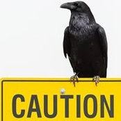 Laura Kanter's photo