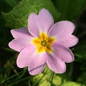 Lyne Beaudoin's photo