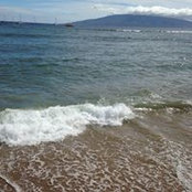Katrina Warren-Hogan's photo