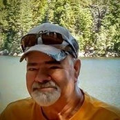 Mark Hamiltons billede