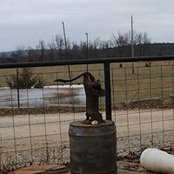 Cynthia Crow's photo