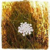 Foto von Corina Shaw