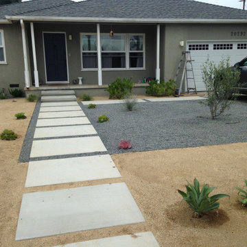 Our Latest Work!