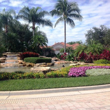 Landscape Ideas
