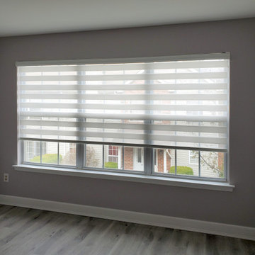 Springblinds Premium Zebra Dual Sheer Shades