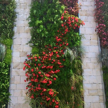 Jardín vertical