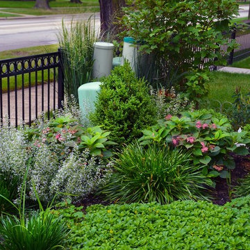 Arlington Heights Traditional Chicago Front Yard
