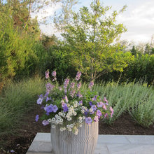 Planters Ideas