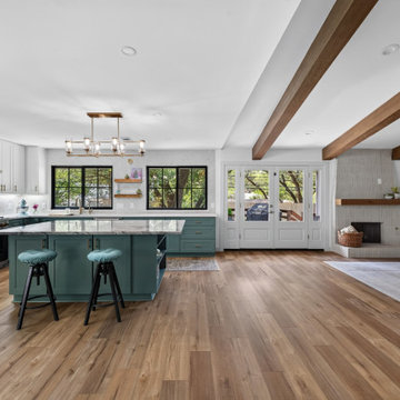 Three Oaks - Kitchen and Living Room Remodel