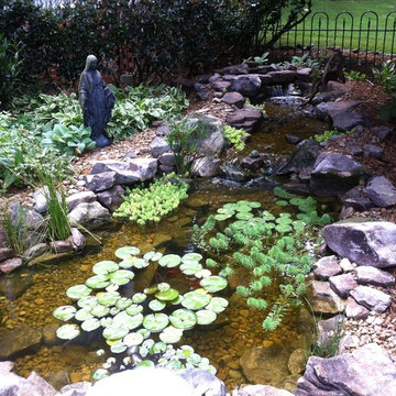 Atlanta Koi Pond Installation for Backyards
