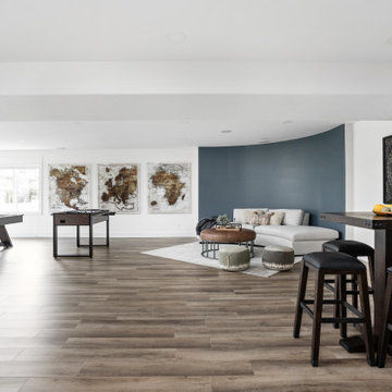 Family Room / Basement