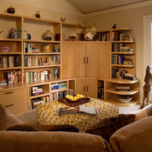 Basement Family Room