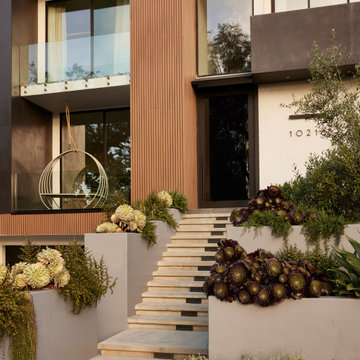 Cheviot Hills | New Custom Residence