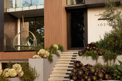 Home design - modern home design idea in Los Angeles