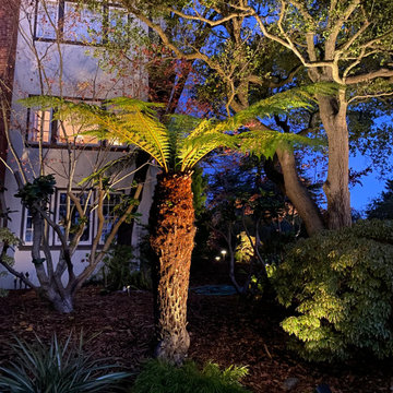 Berkley Hills lighting project
