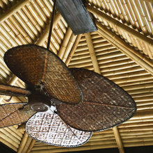 Florida Ceiling Fans