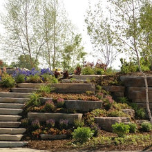 Landscape Ideas