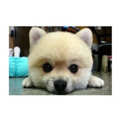 Michael Xue's photo
