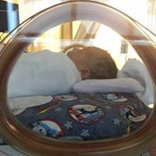 Denise Wirth's photo