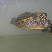 Barbara Reader's photo