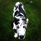 Cami Huysman's photo