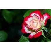 Mary Lauck's photo
