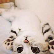 Sonia Chen's photo
