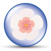 Kathy Lowe's photo