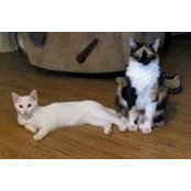 Dawn Fontaine's photo