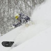 Troy Cavallaro's photo