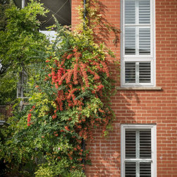 The Chimney House - Contemporary Home - Interior Shutters