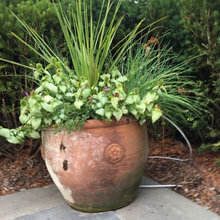 Formal Garden