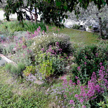 Création d'un jardin - Puyricard