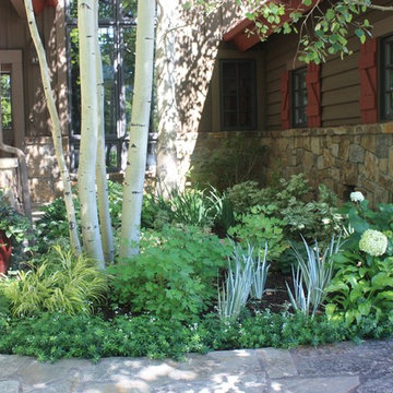 Gardening in the Shade