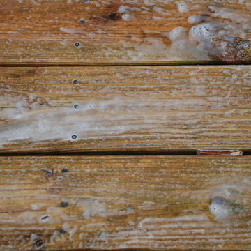 Pressure Treated Deck Stain Project Start to Finish