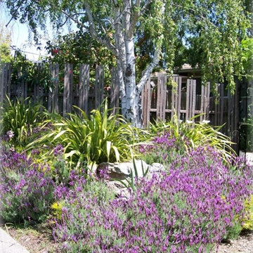 Tam Valley Design
