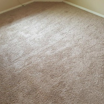 Fixed Up a Nice Rental In Tempe With New Solution-Dyed Carpet