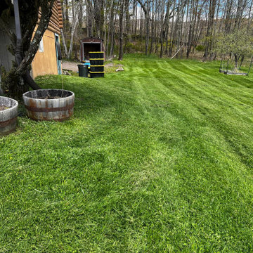 Professional Lawn Care & Mulch Installation
