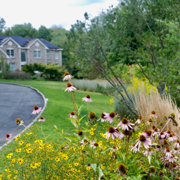 Native Meadow